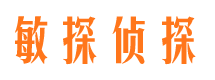 城区市侦探调查公司